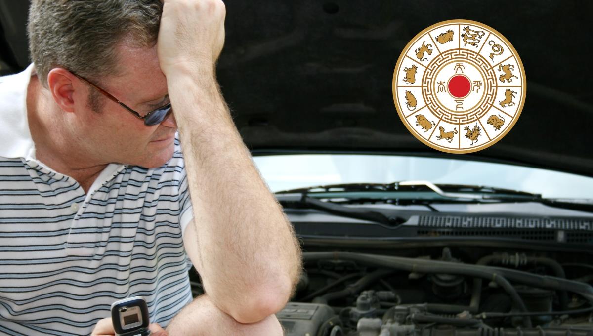 Horóscopo Chino: los 3 animales que resolverán un tema estancado en este 14 de agosto de 2025